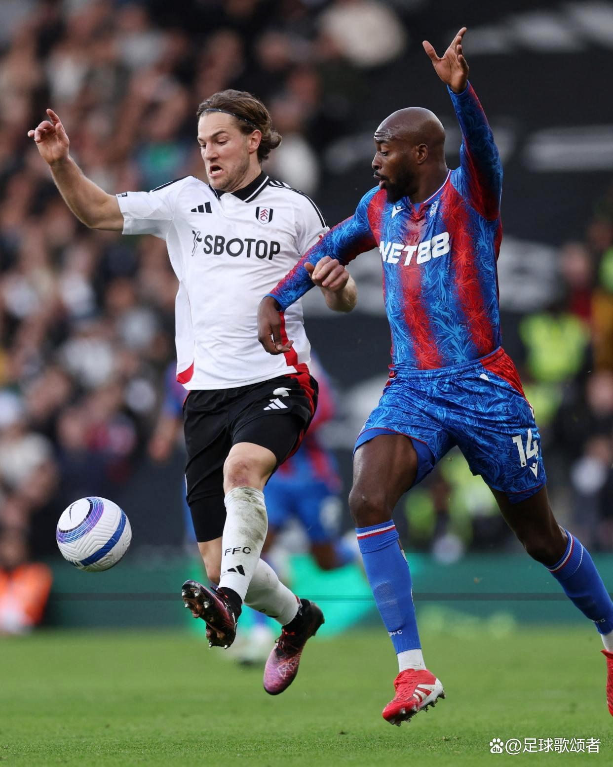 关于富勒姆客场击败布莱顿，保级前景乐观的信息