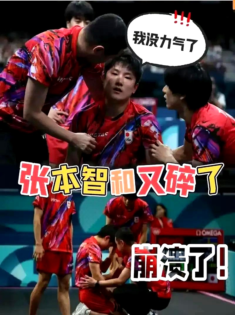 关于葡萄牙队完胜德国队，张本智和惊艳四座的信息